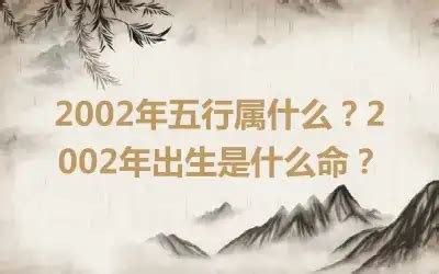 2002年出生属什么